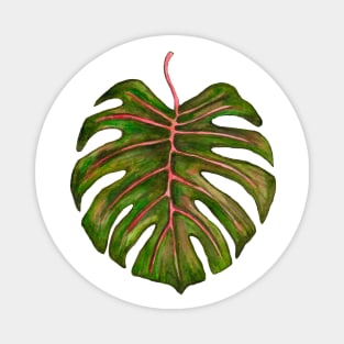 Big monstera leaf Magnet